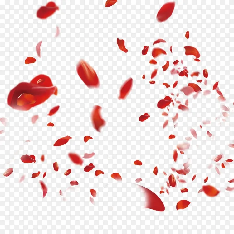 花瓣玫瑰 玫瑰花瓣图片下载页面 图片编号92 Png素材网