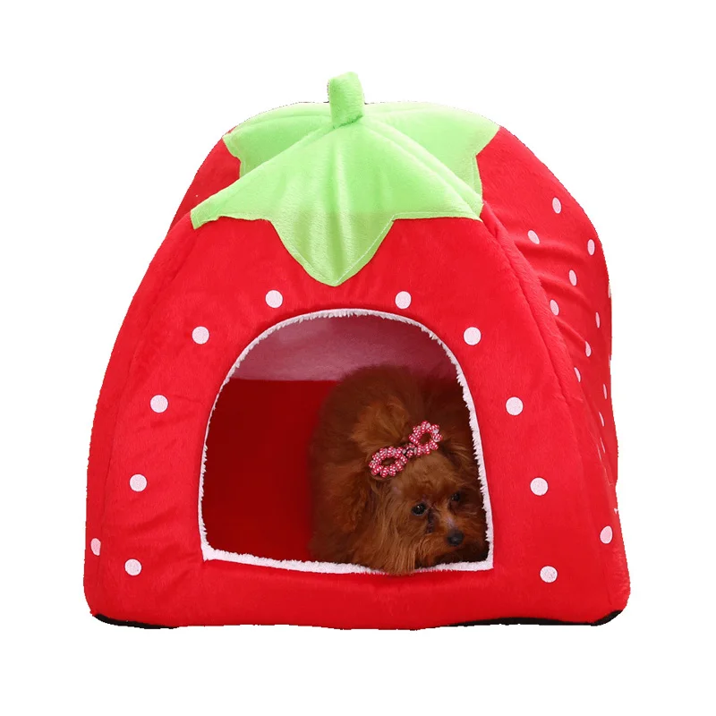 9416835136_892870399