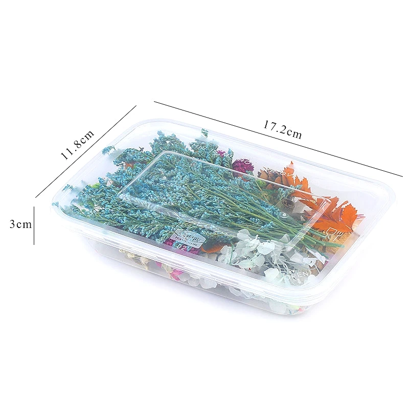 1 коробка смешанных настоящих сушеных цветов сухие растения прессованные цветы