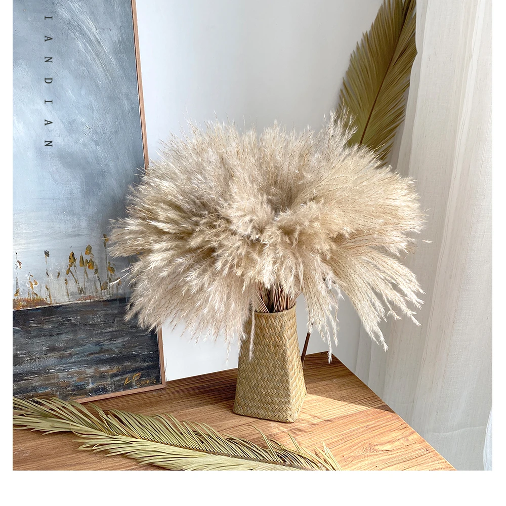 Afleiden Ambassadeur Rondlopen 50/40Pcs Natuurlijke Pampas Gras Riet Boeket Hooi Voor Bruiloft  Verjaardagsfeestje Decoratie Bohemian Land Woonkamer Decoratie| | -  AliExpress