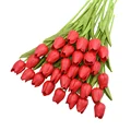 Image 17