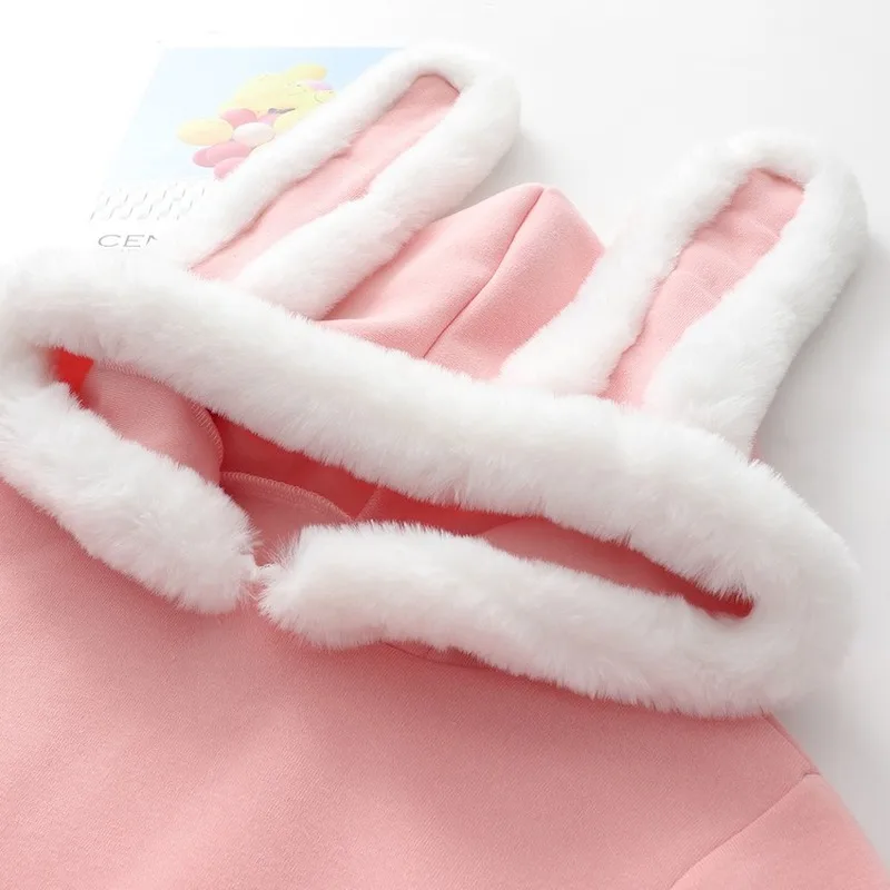 Женские Новые осенне-зимние теплые толстовки Kawaii, модные милые бархатные пуловеры с капюшоном и заячьими ушками, милые топы для студентов