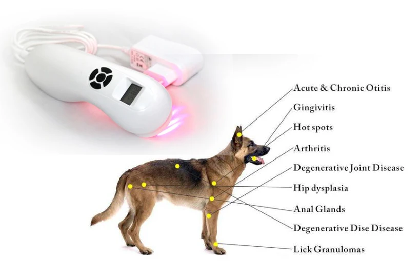 Мощный портативный LLLT холодная лазерная терапия физиотерапия устройство для облегчения боли в человеческом и животном