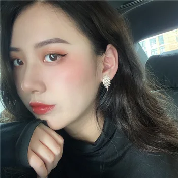 

S925 Silver Needle South Korea Cool Zircon Chain Tassels High Grade Sense Online Celebrity Earrings Elegant Slimming Earrings Ne