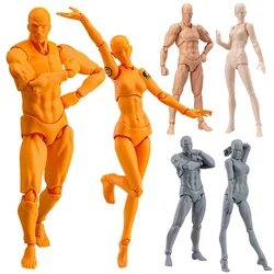 Chan & Kun – figurine Movebale en PVC, corps léger, modèle d'action pour SHF Version 2.0, Mannequin pour dessin artistique, 2 pièces/ensemble 
