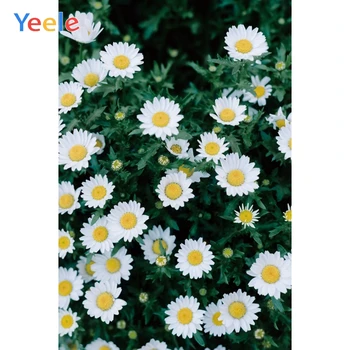 

Chrysanthemi Flower Close-up Autumn Summer Photocall Photography Backdrops Personalized Photographic Background For Photo Studio