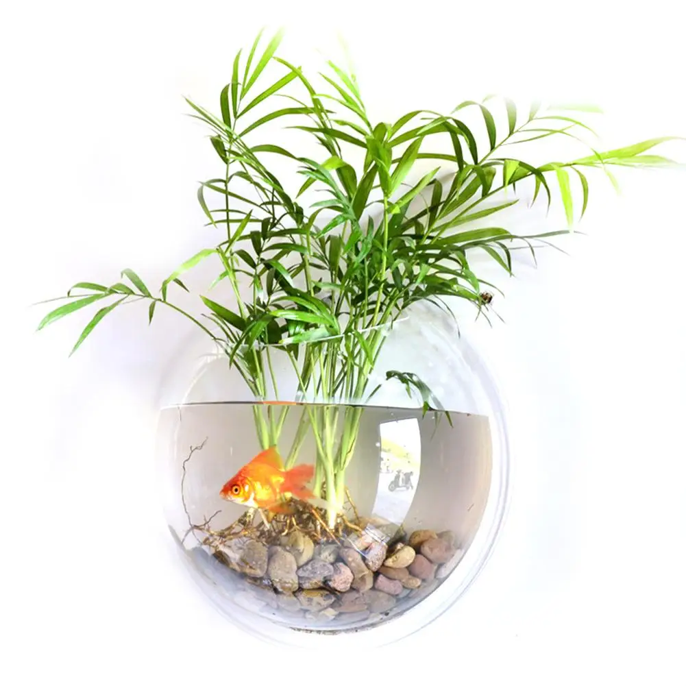 

Wall Mount Hanging Fish Bowl Aquarium Acrylic Tank Beta Goldfish Hanger Plant