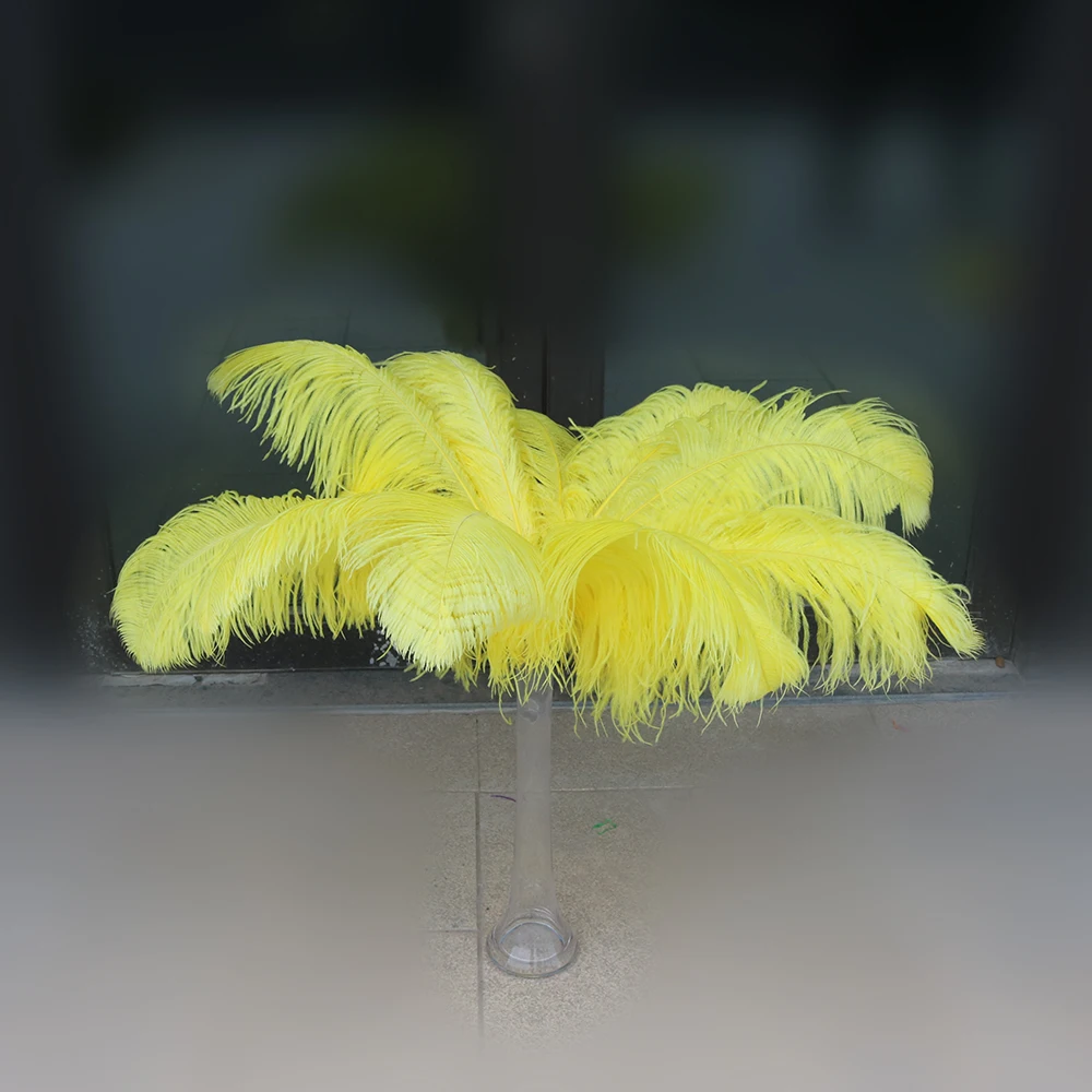 4 鸵大杆 60-65cm 4