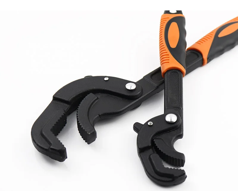 9439892576_596754337