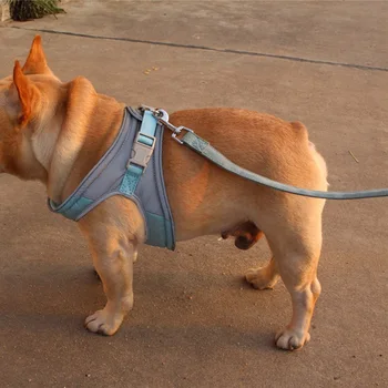 

Dog Cat Harness Pet Adjustable Reflective Vest Walking Lead Leash for Puppy suede Harness for Small Medium Dog Dogs Supplies