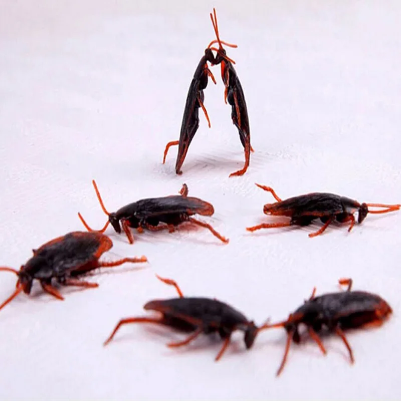 10Pcs-pack-Halloween-Jokes-Gags-Pranks-Maker-Trick-Fun-Novelty-Funny-Gadgets-Blague-Tricky-Toy-Simulation (4)