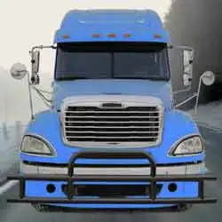 

Standard 201 Stainless Steel Black Grille Guard & Mounting Kit Fits For Freightliner Columbia 120