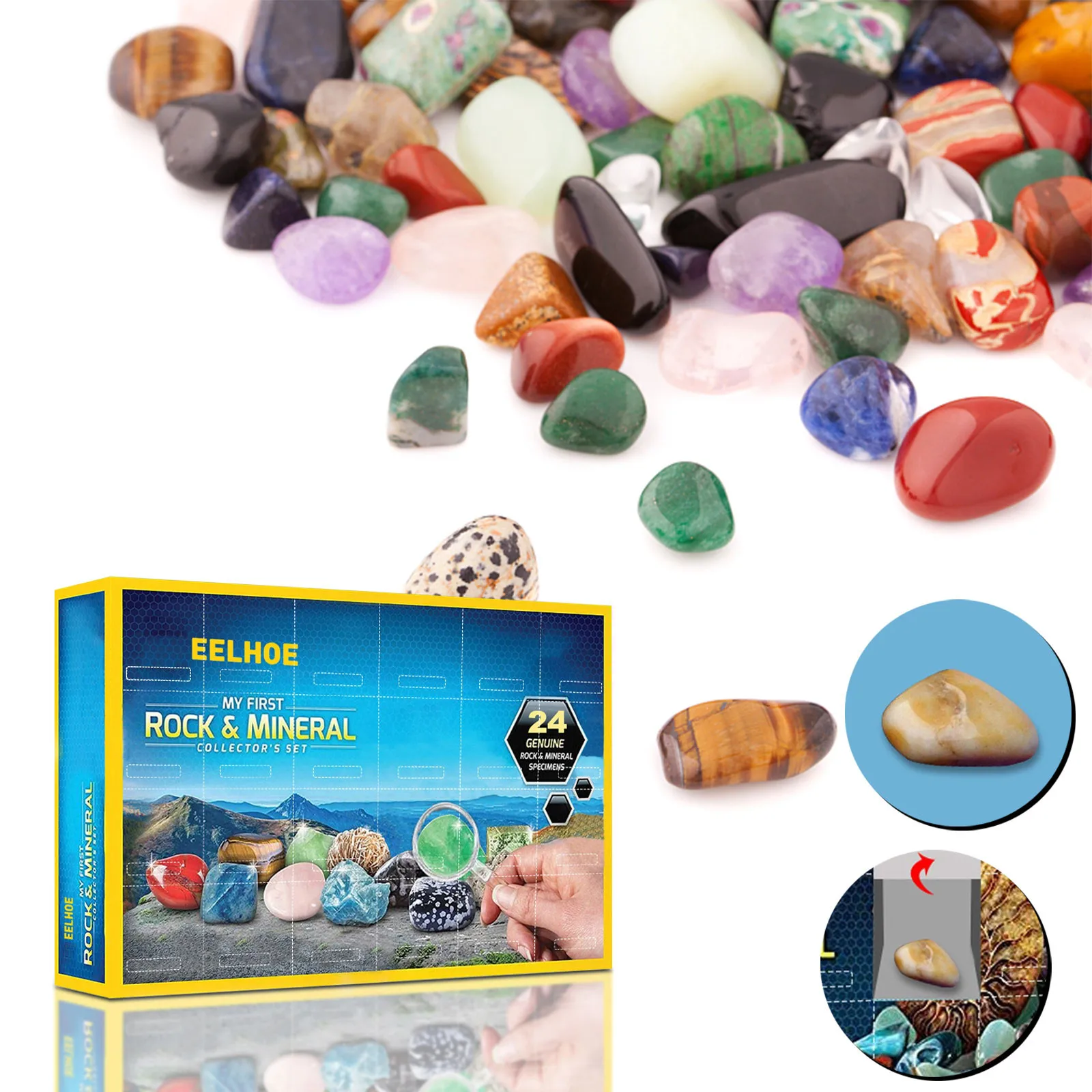 Kids Rocks Collection 24-Piece Rock Collections for Great STEM Science Gift Mineralogy & Geology Enthusiasts Box | Дом и сад
