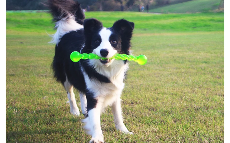 HOOPET питомцы игрушечные собаки зубы палка для собак супер прочный и смешной собаки экологический пищевой материал TPR жевательная игрушка товары для домашних животных