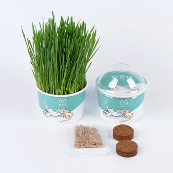 

Non-toxic Edible Removal of Gastrointestinal Hair Ball Cat Grass Seeds for Pet Organic Soil Cultivation Pot Cat Grass Lazy Suit