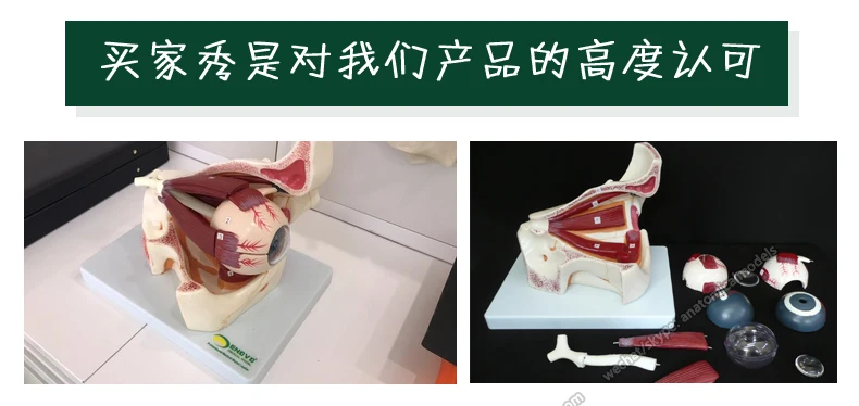 12527 买