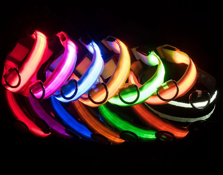 dog collar (1)-1