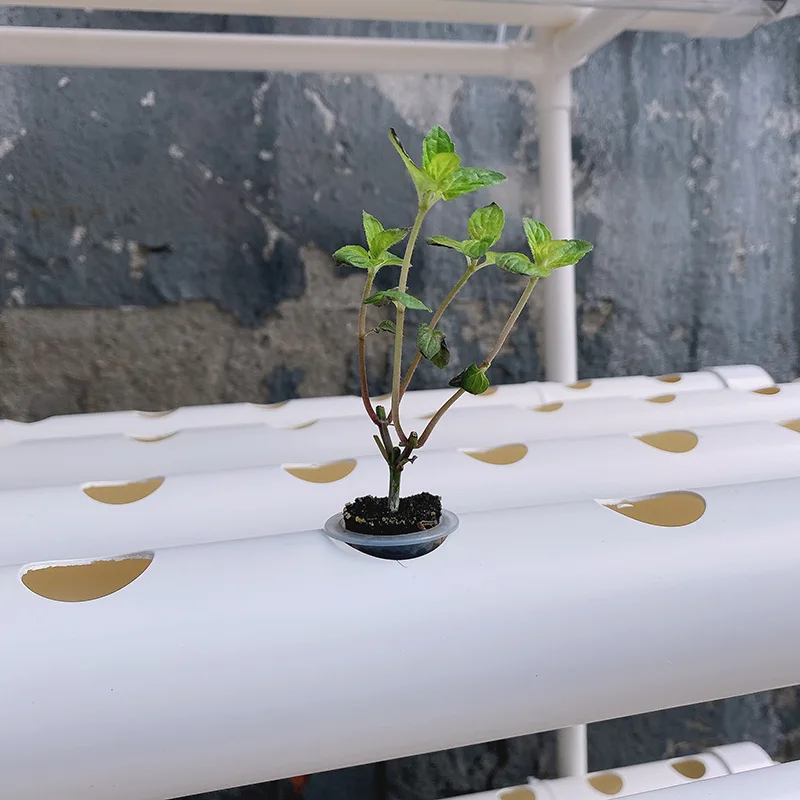 Hydroponic Grow Kit 36 Holes