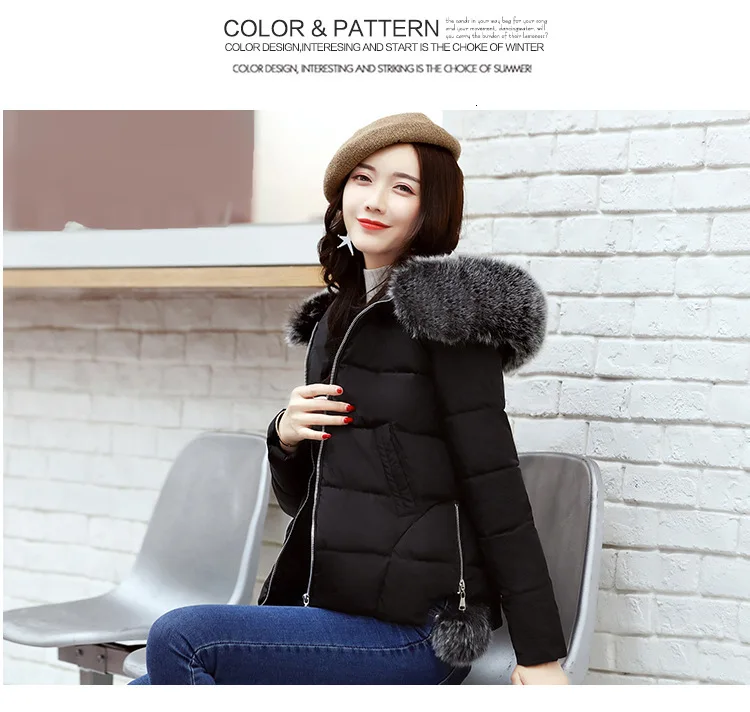 8996885560_1006637240