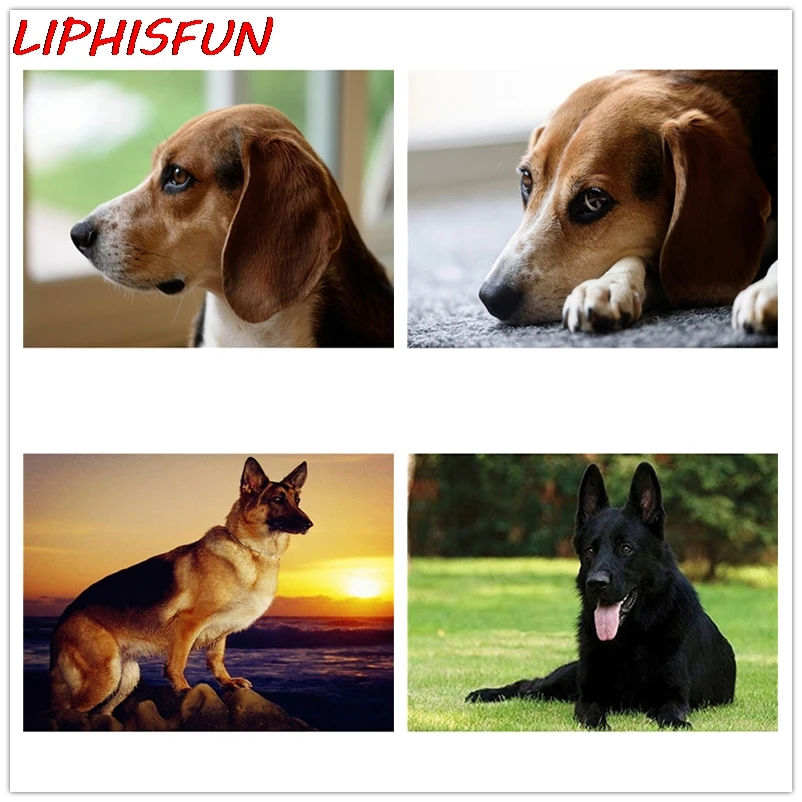 LIPHISFUN Full Square Round Diamond painting Cross stitch German Shepherd 5D DIY Embroidery Dog Animal sale Home Decor | Дом и сад
