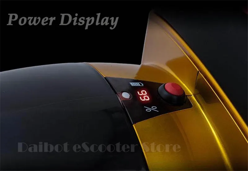 Daibot Electric Unicycle Scooter One Wheel Self Balancing Scooters 350W 14 inch With Push Rod Electric Scooter Adult             (6)