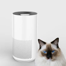 Бытовые отрицательные ионы маленький настольный питомец очиститель воздуха энергосберегающий бесшумный Профессиональный всасывающий кошачий волос