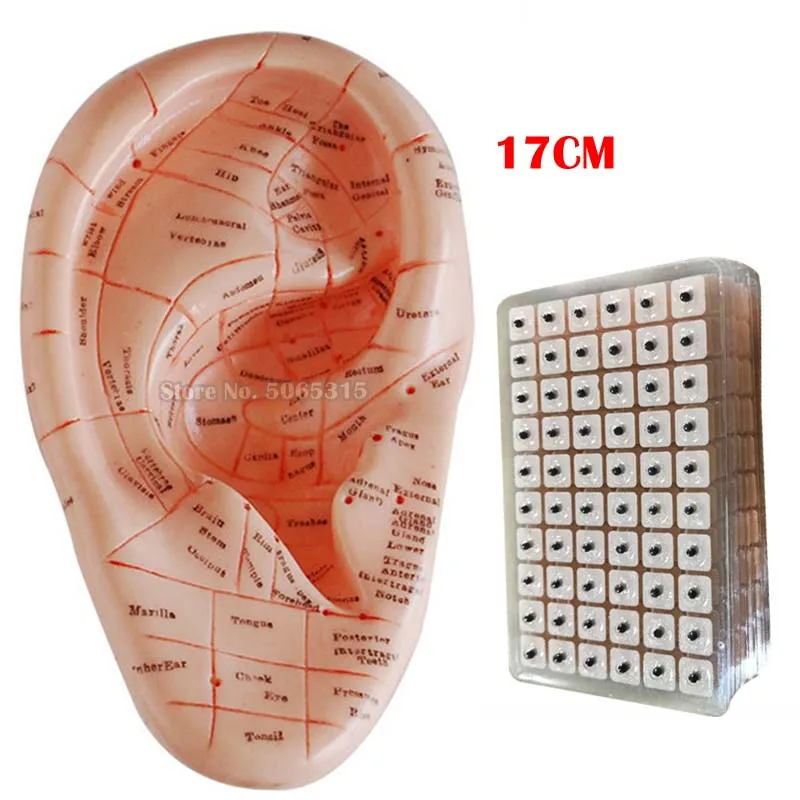 HTB1us0PapY7gK0jSZKzq6yikpXaO - 副本