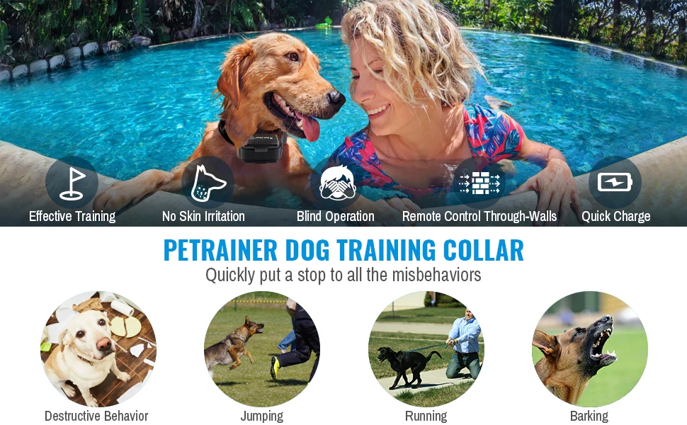 0893e87e-0f37-4945-be3b-9d81fa0f4e47._CR0,0,970,600_PT0_SX970__