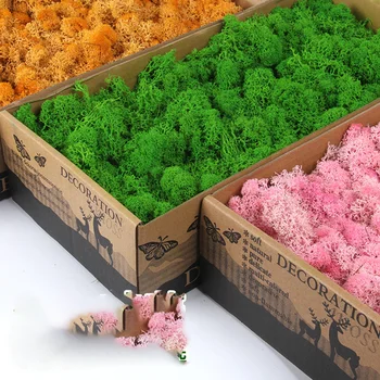 

500g high quality artificial moss immortal moss simulation green plants grass gardening ornaments micro landscape accessories