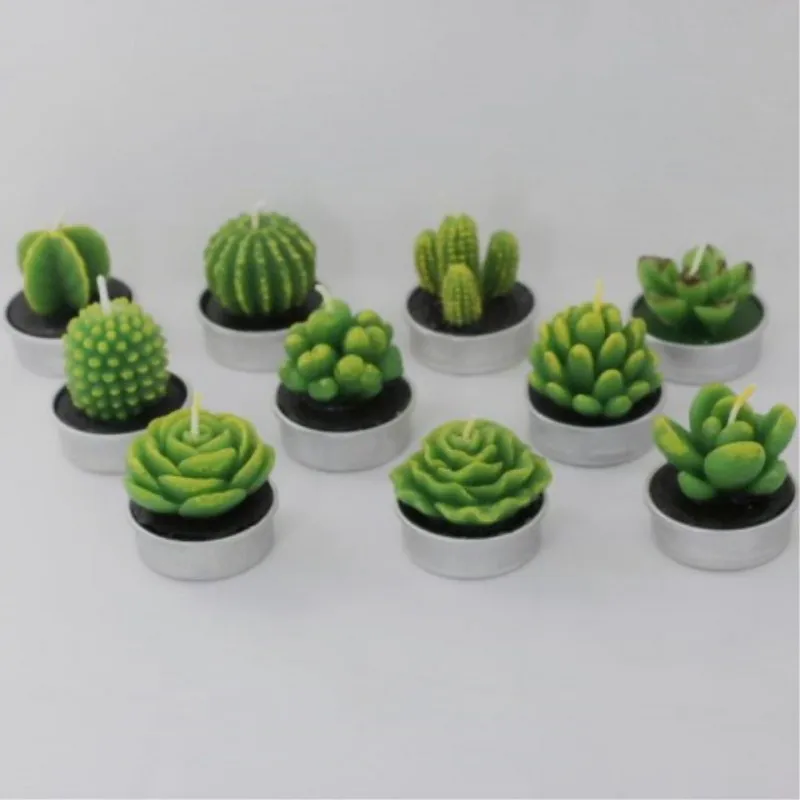 Mini bougies plantes succulentes