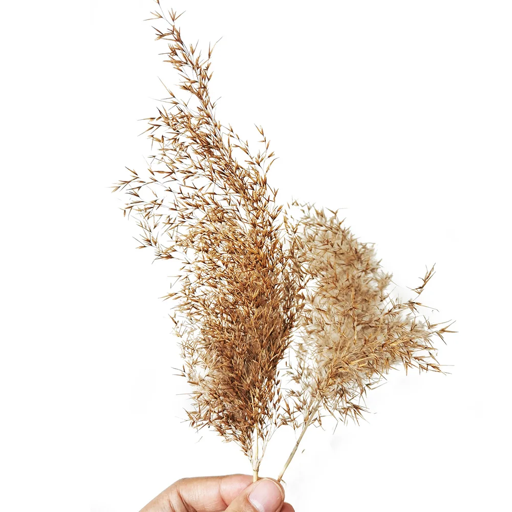 

Архитектурная модель в масштабе HO N, военная миниатюрная трава, Ландшафтная сцена, поезд, железная дорога