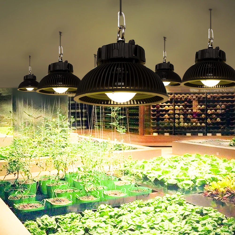 Full Spectrum Hydroponics LED Grow Light 285W 3500K Citizen CLU058  LED Plant Growing Lamp For Greenhouse Indoor Plants Growth