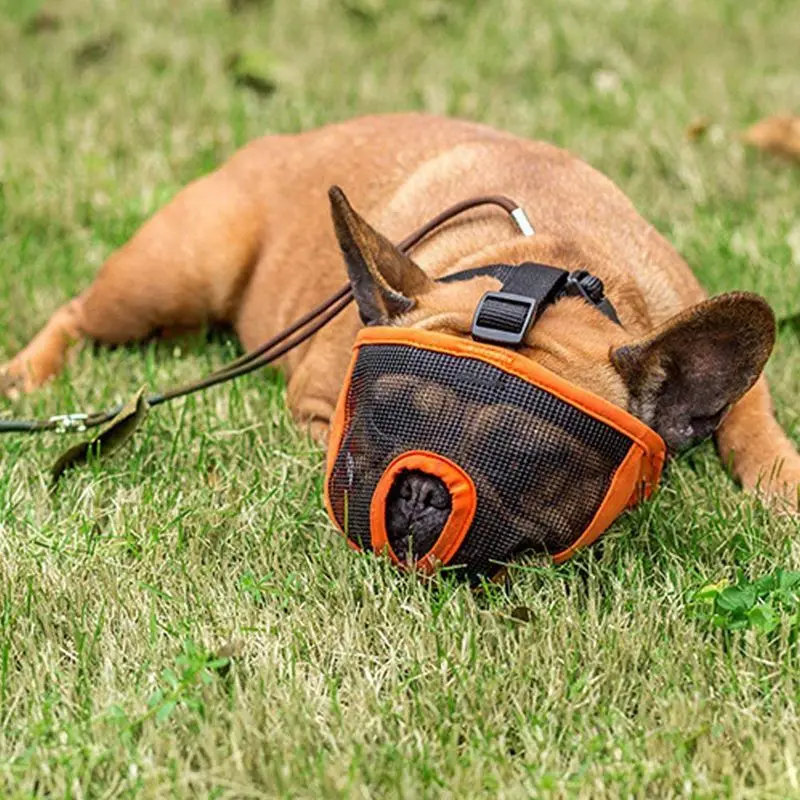 ELEG-Dog намордник для лая для коротких рылых питбуллов для собак против укуса жевательной еды