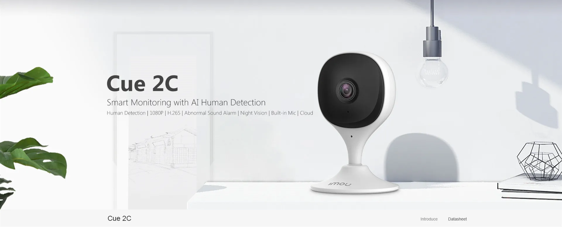 Câmeras de vigilância