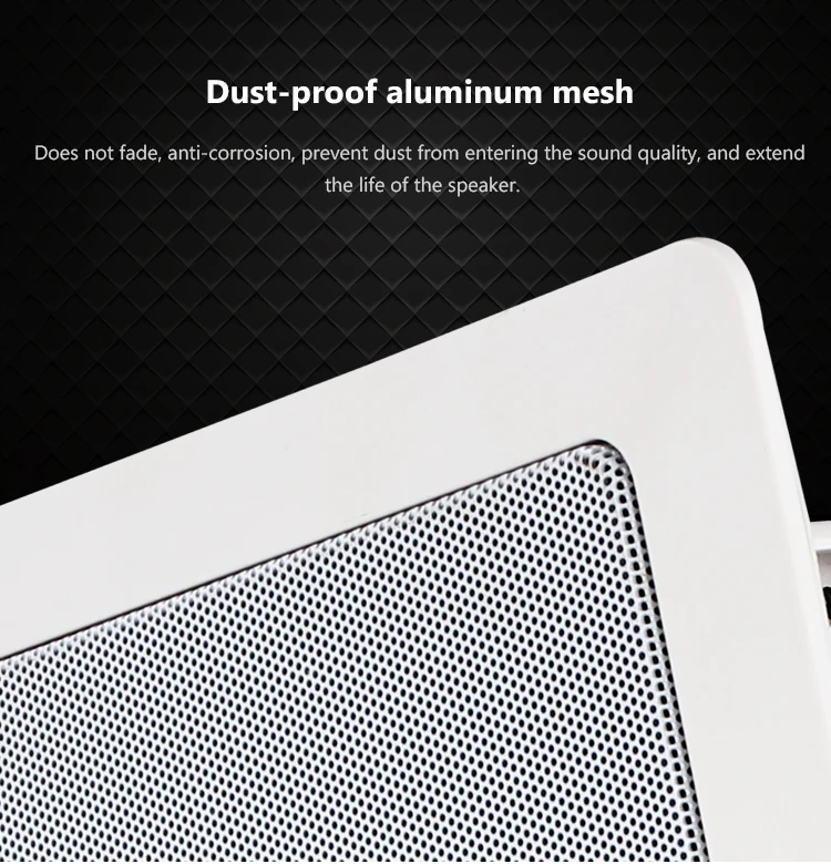 audio system oupushi (4)