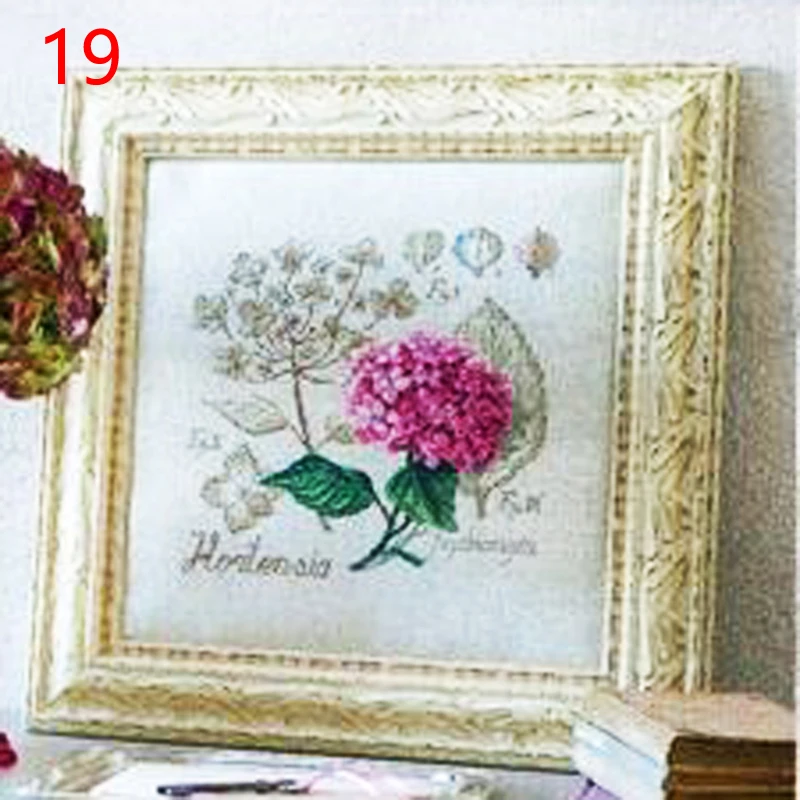 19 重绘8542-绣球花2