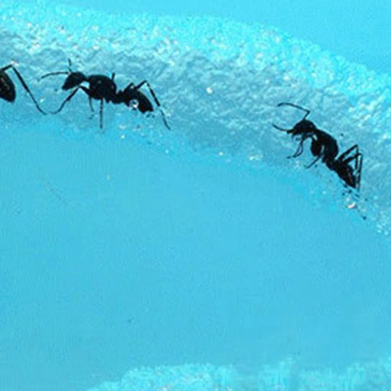 DIY влага с питанием площадка муравьиные гнезда вилла ПЭТ для домашние муравьи Ant мастерской Муравьиное гнездо научная образовательная