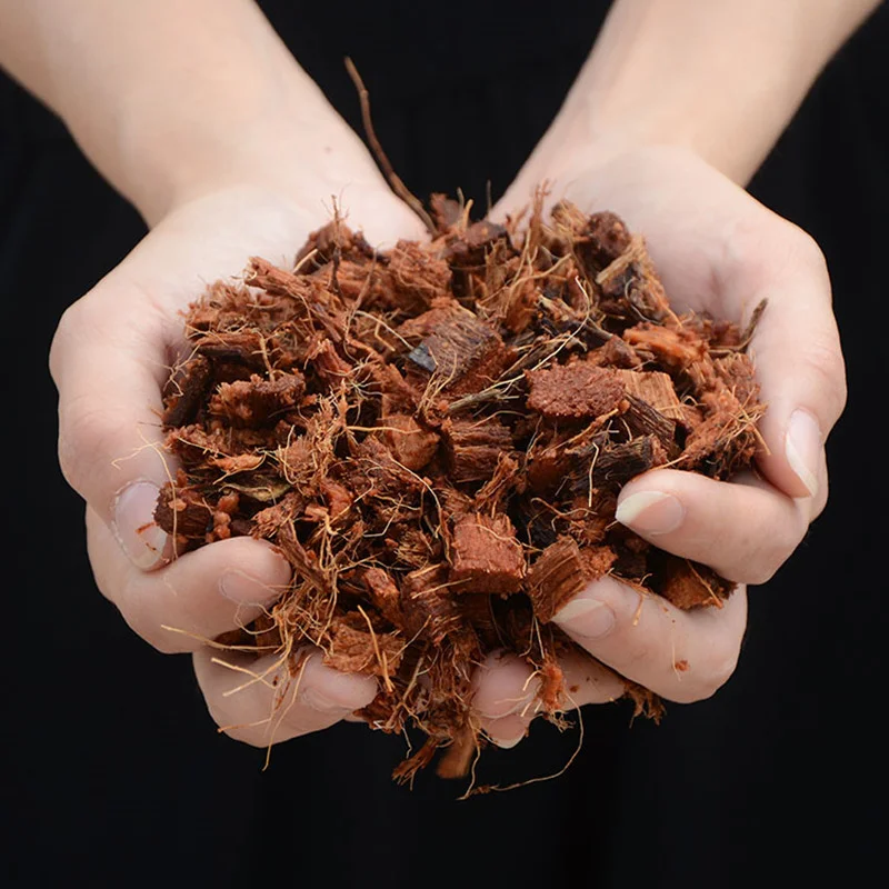 500g Coconut Fiber Coir Pellet Nutrient Soil Lightweight Plant Compressed Base Flowers Vegetables Organic Fertilizer Garden Tool 4