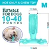 Rubber Dog Chew Toys Pet Supplies – Dogcatclothes