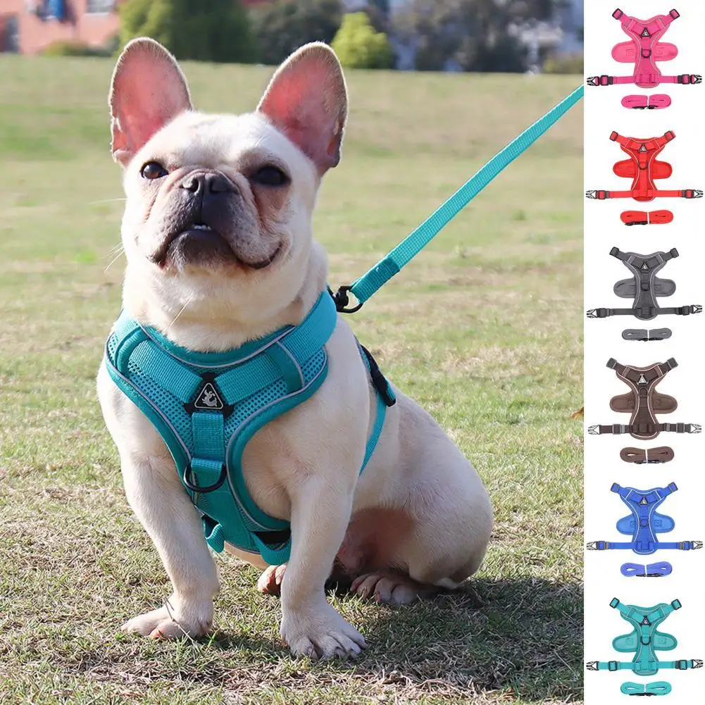 Pet Harness Leash Reflective Stripes Anti-pull Pet Harness Traction Rope  Set Dog Collar Harness Leash traction rope chest strap - AliExpress