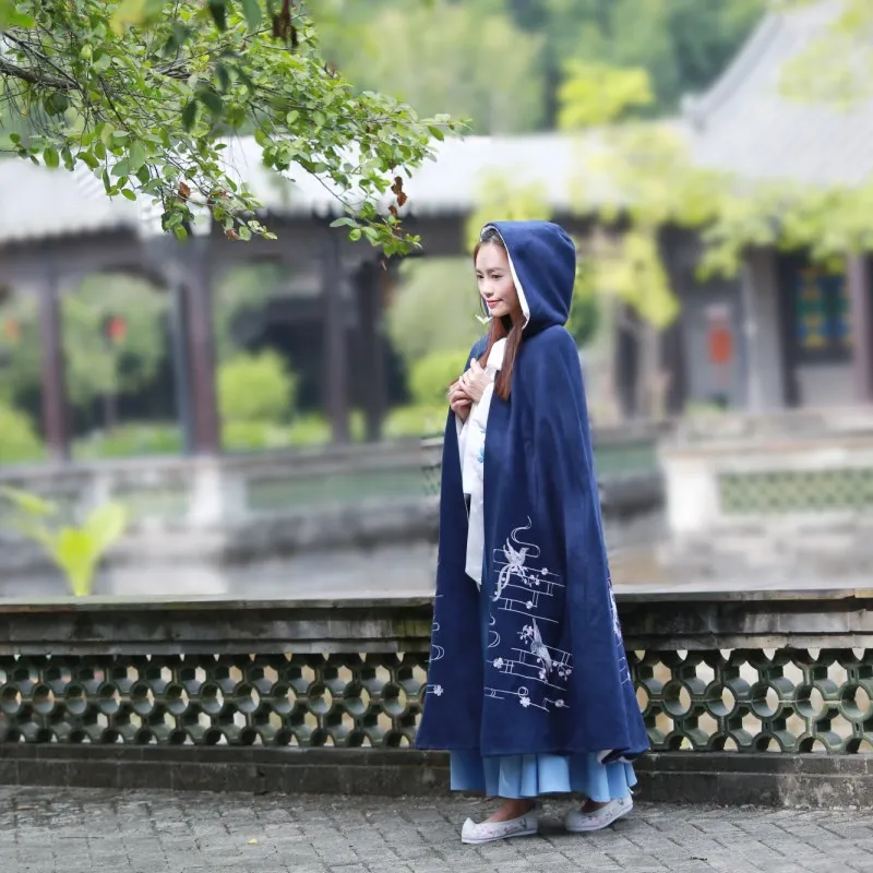 Зимнее Новое холодное пальто с утеплителем китайский Hanfu платье вышивка с капюшоном накидка халаты Eastqueen Китайская традиционная Женская