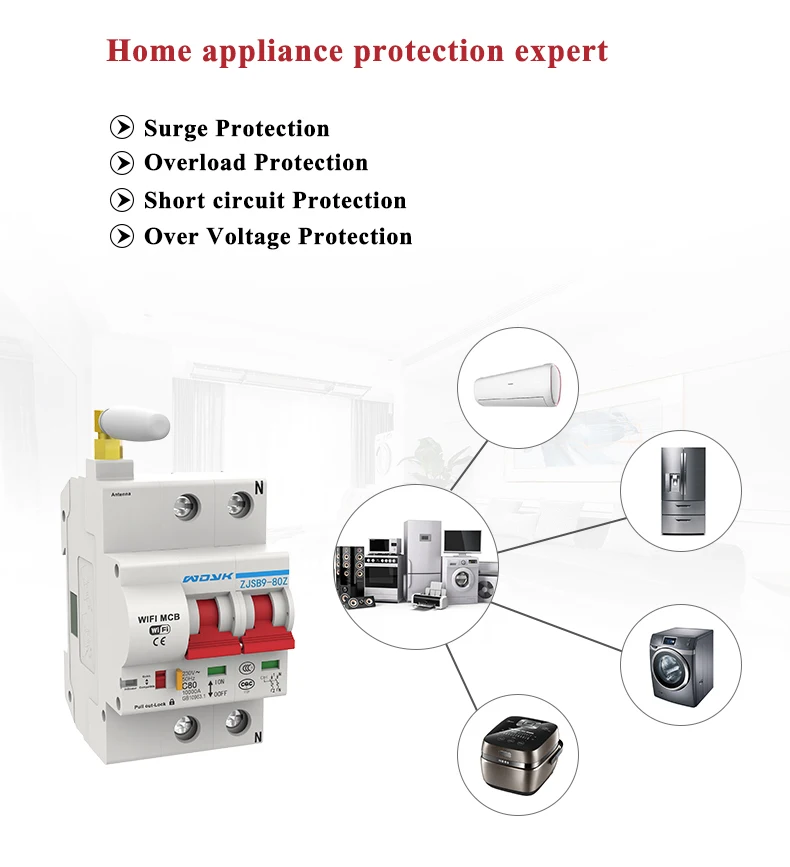 2P 10A WiFi умный автоматический выключатель автоматический повторитель защита от перегрузки и короткого замыкания для Amazon Alexa и Google home
