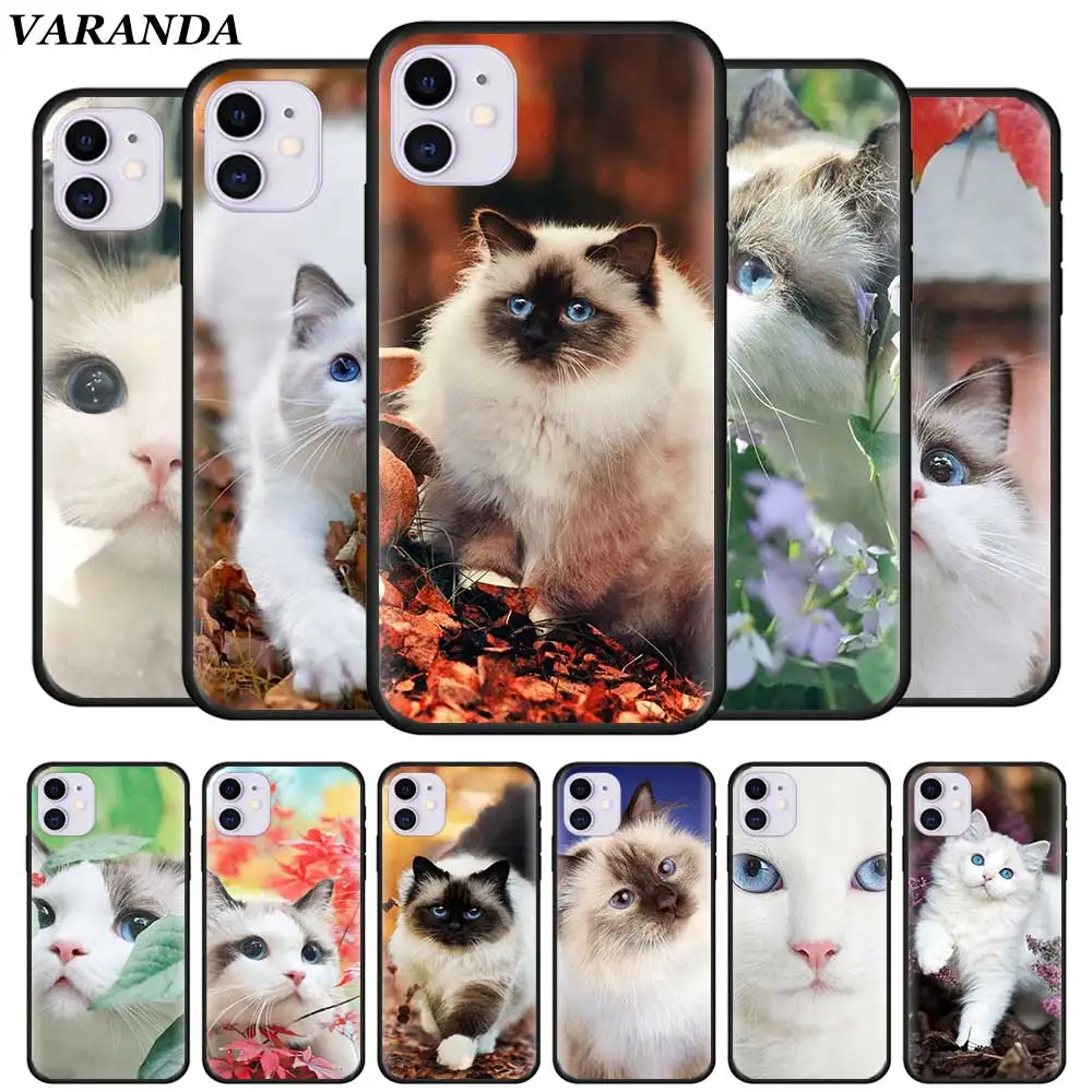 

White Cat Ragdoll Cat Cases for iPhone 11 Pro X XR XS Max 7 8 6 6S Plus 5 5S SE 5C Black Silicone Soft Cover Fall