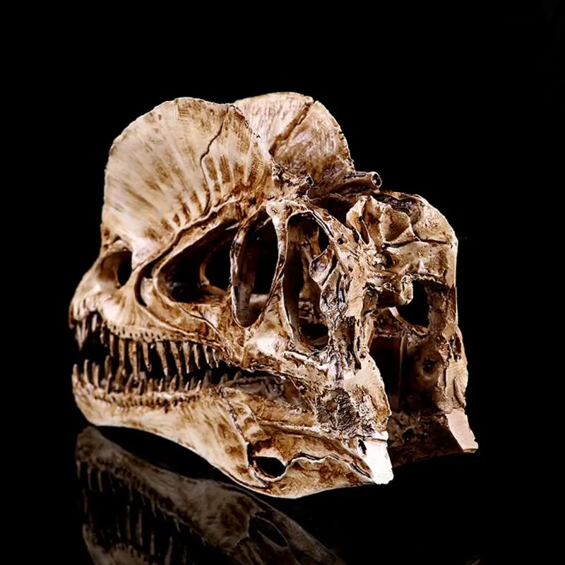 Top Grade Monolophosaurus Fossil Resin Dinosaur Skull Model Halloween Gifts Home Decoration-in