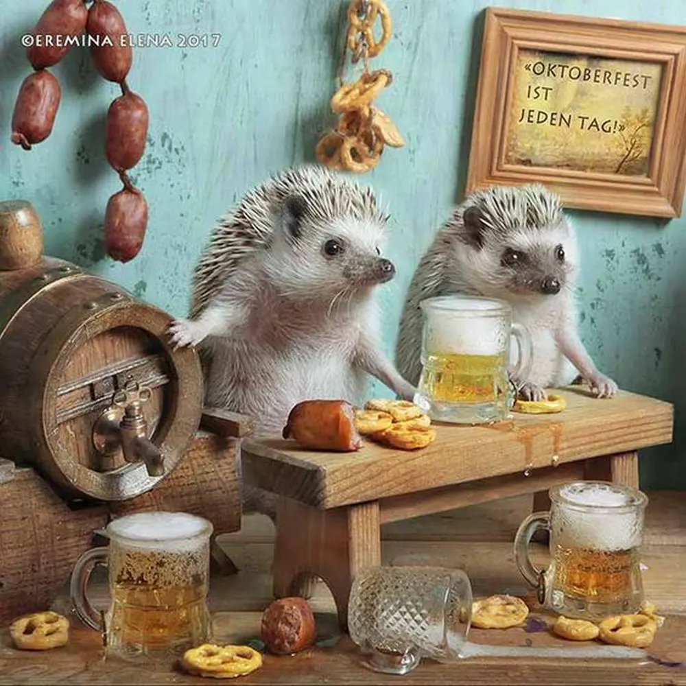 Needlework diy Diamond Painting Hedgehog and beer mug 5d Embroidery Square Drill Rhinestone Mosaic breakfast Picture | Дом и сад