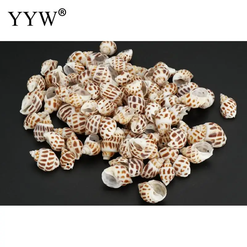 90 шт./пакет морские раковины Schelpen Coquillage Conchas Shell для украшения дома Морской Декор Декоративные ракушки Вавилон морской дом
