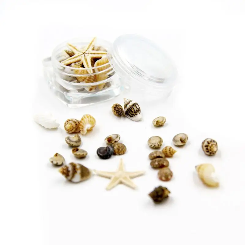 

DIY a Box Small Natural Beach Seashell Star fish Nautical Decor Nail Art Jewelry Making UV Resin Fillings Material