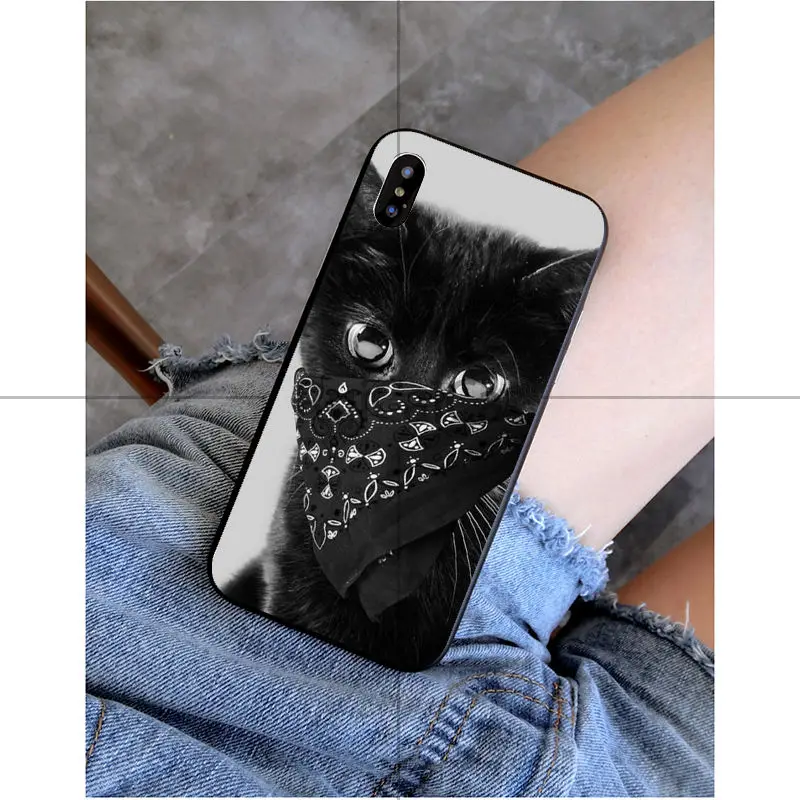 Black Cat Watch Eyes 