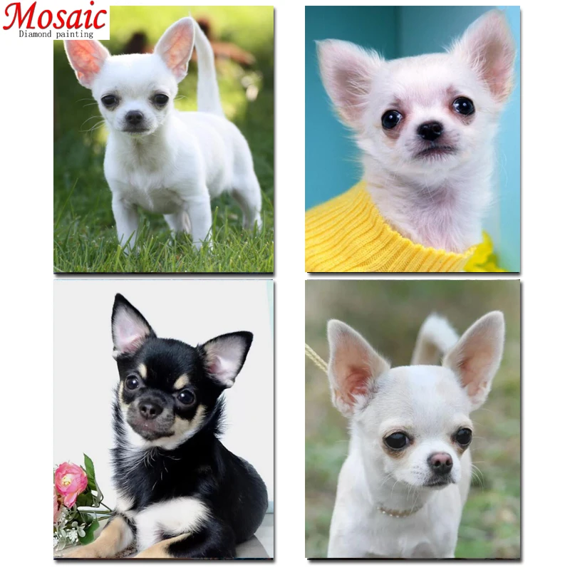 H5ffbfff3e52a435eb723a2ec82ff6a8bG