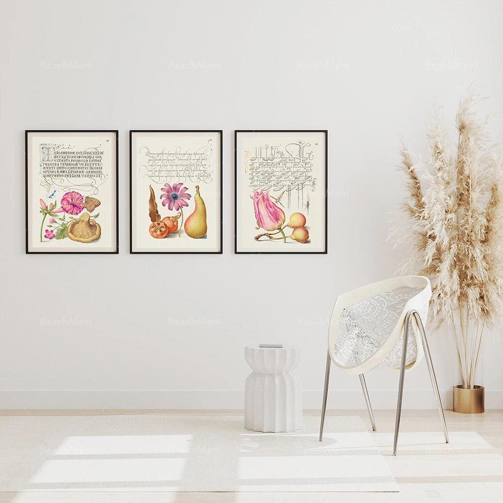 Stampe Calligrafiche Vintage Dal 1500S, Botanical Vintage, Pear Tulip Poppy Mushroom Wall Art, Font, Tipografia Art, Bocskay & H